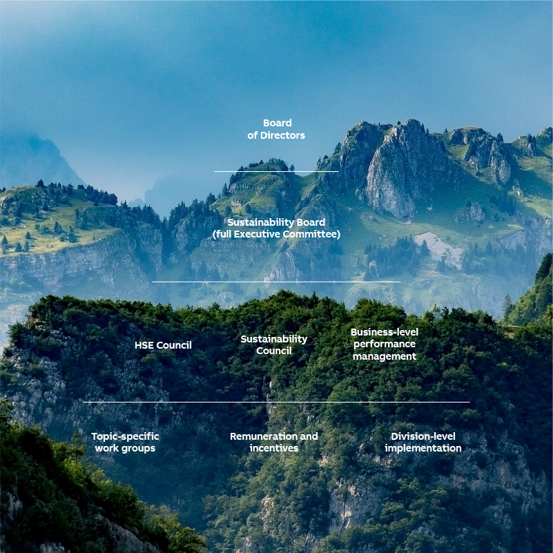 Sustainability governance (graphic)